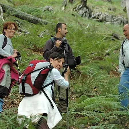 El Mirador Lavín